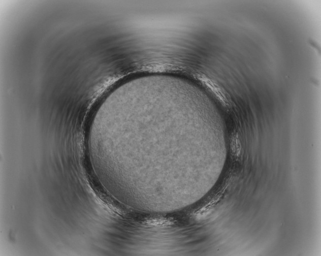 X0000094420540200711291552