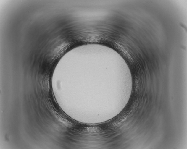 X0000094420541200711291552