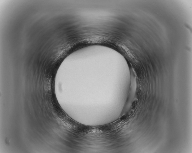 X0000094420543200711291552