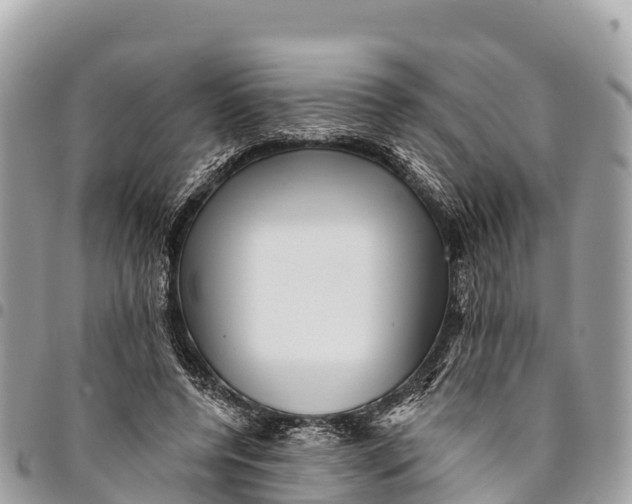 X0000094420544200711291552