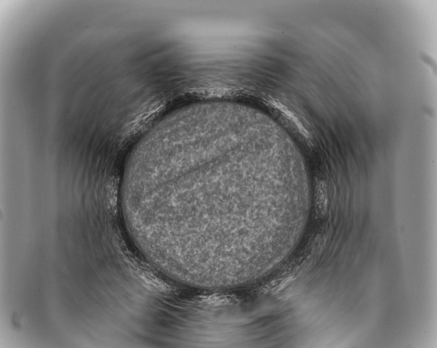 X0000094420545200711291552