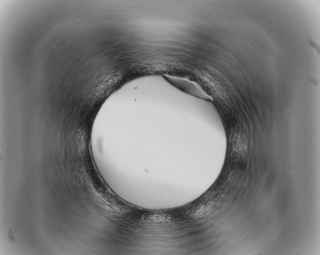 X0000094420546200711291552