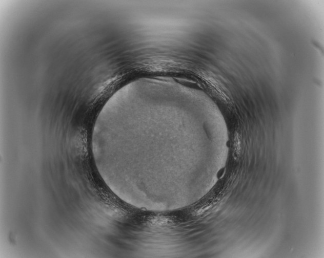 X0000094420547200711291552