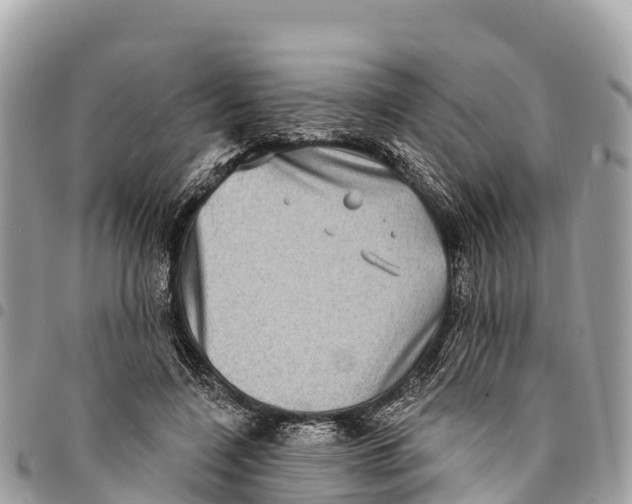 X0000094420548200711291552