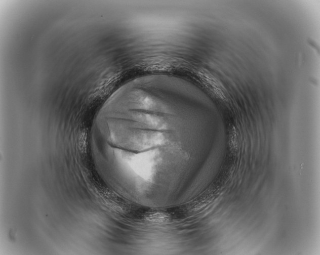 X0000094420551200711291552