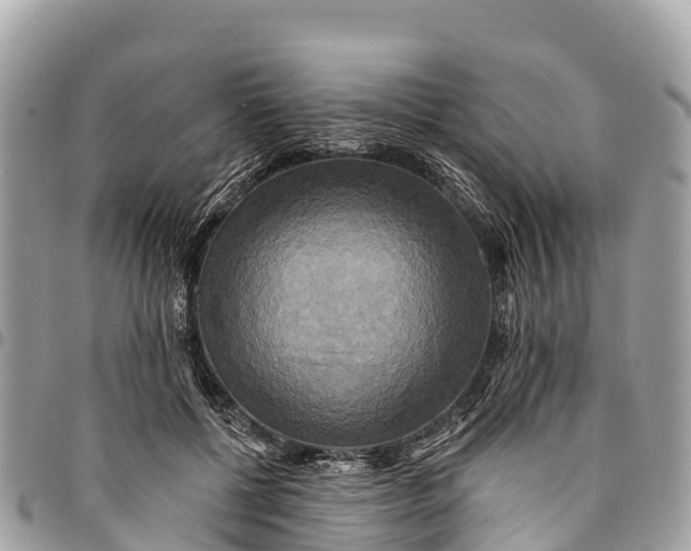 X0000094420552200711291552