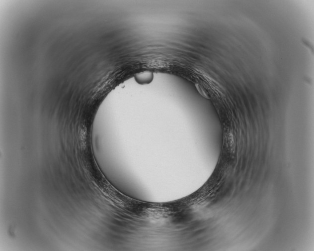 X0000094420556200711291552