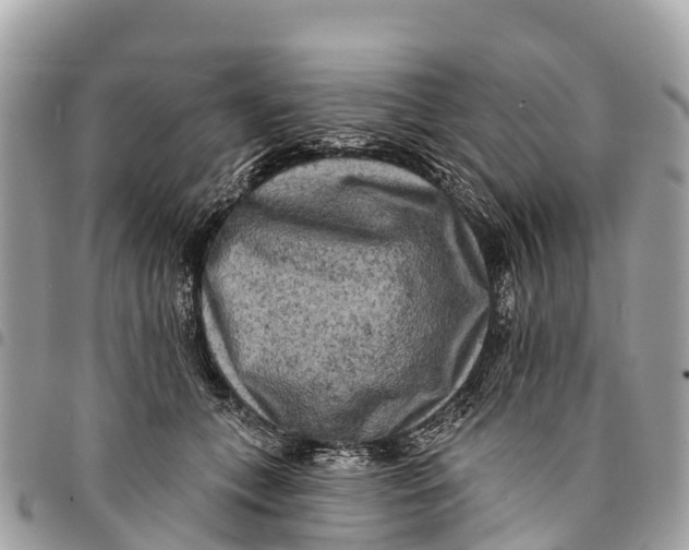 X0000094420559200711291552