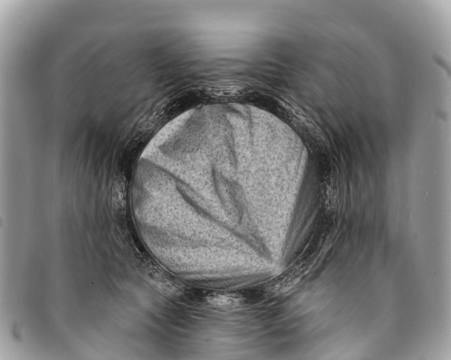 X0000094420561200711291552