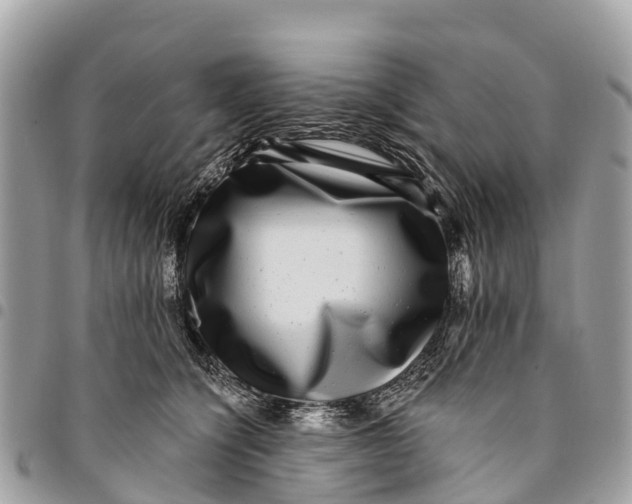 X0000094420564200711291552