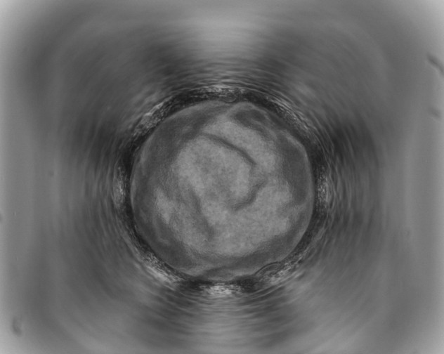 X0000094420566200711291552