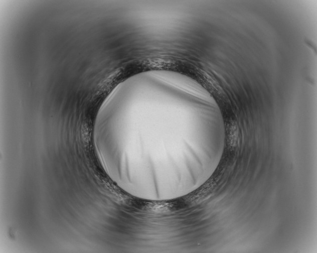 X0000094420569200711291552