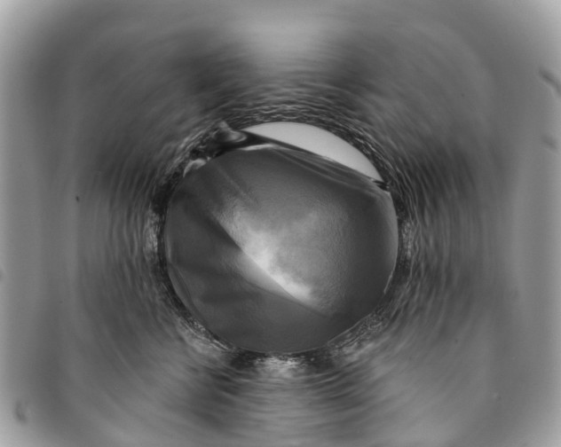 X0000094420570200711291552