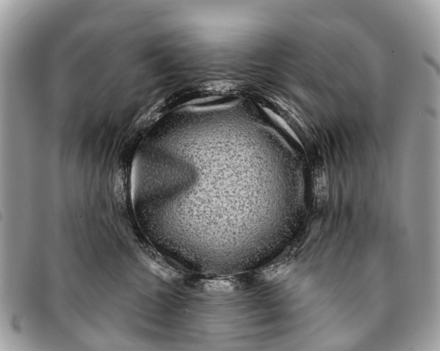 X0000094420572200711291552