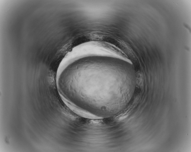 X0000094420573200711291553