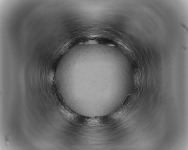 X0000094420574200711291553