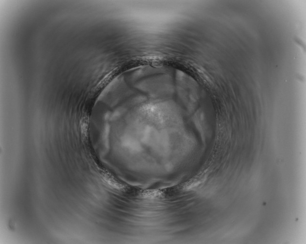 X0000094420576200711291553