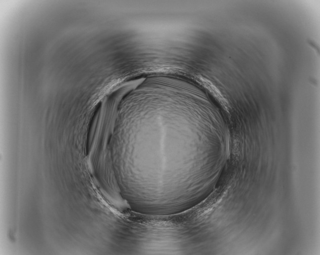 X0000094420577200711291552