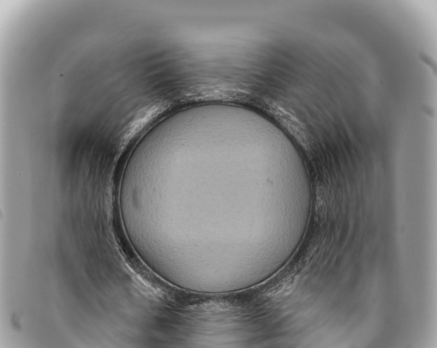 X0000094420578200711291552