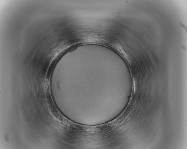 X0000094420579200711291552