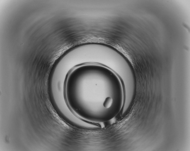 X0000094420581200711291552