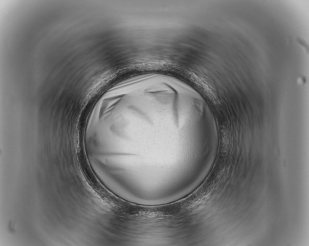 X0000094420582200711291552