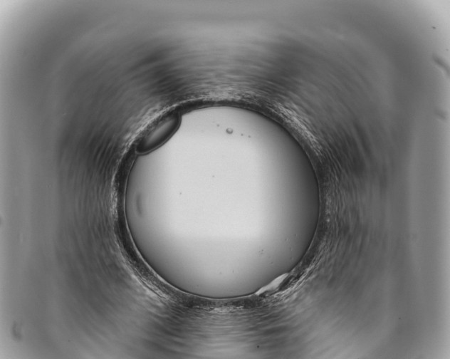 X0000094420584200711291552