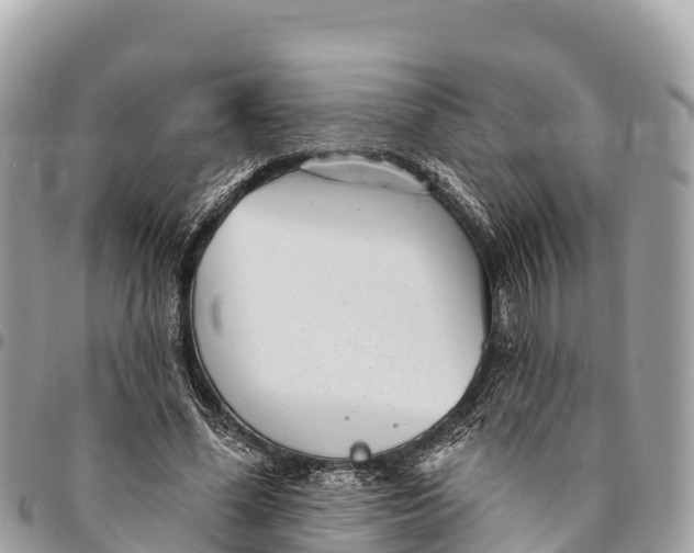 X0000094420588200711291552