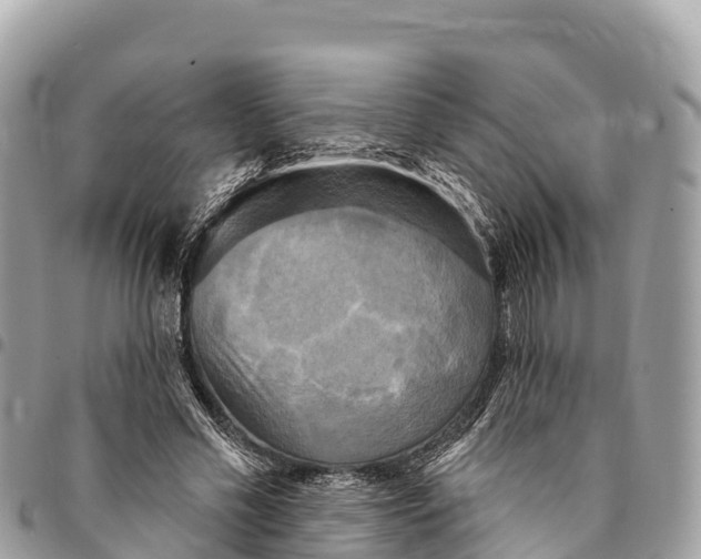 X0000094420589200711291552