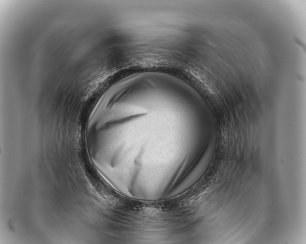 X0000094420592200711291552