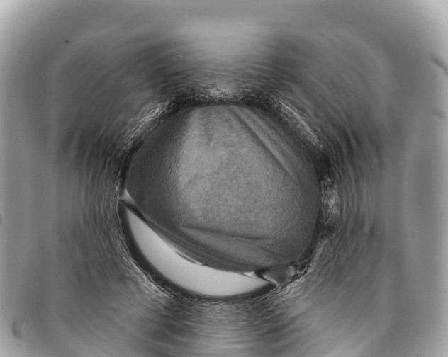 X0000094420593200711291552