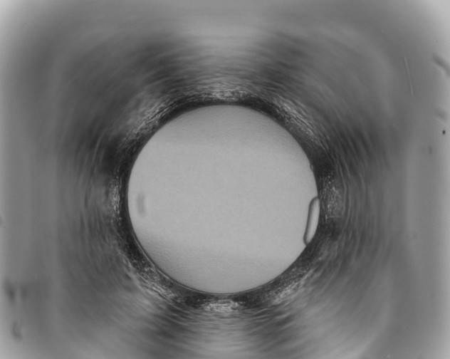 X0000094420595200711291551