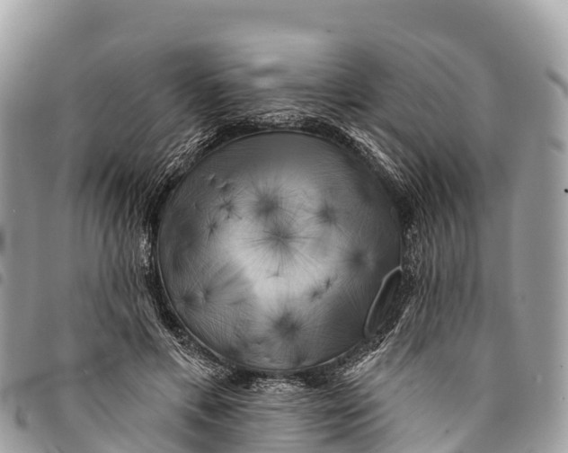 X0000094420597200711291551