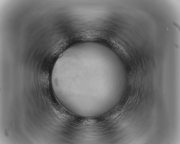 X0000094420599200711291551