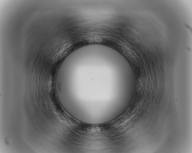 X0000094420600200711291551