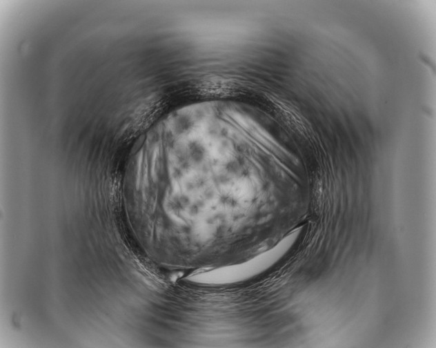 X0000094420601200711291551