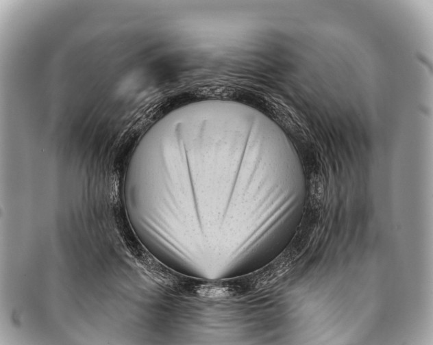 X0000094420602200711291551