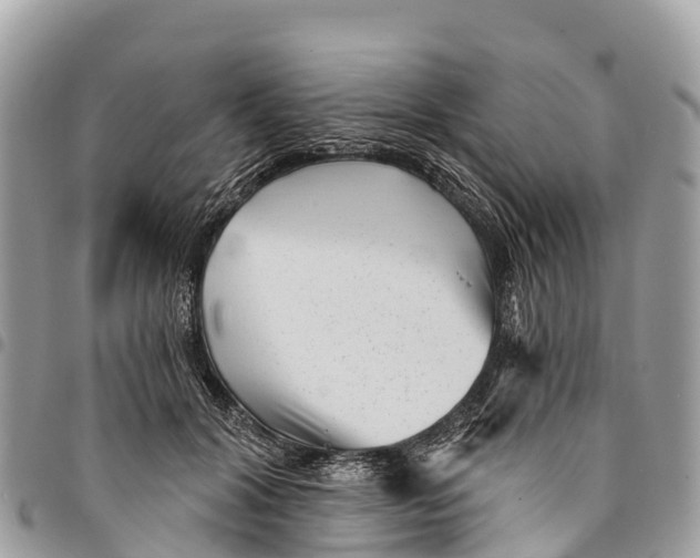 X0000094420604200711291551