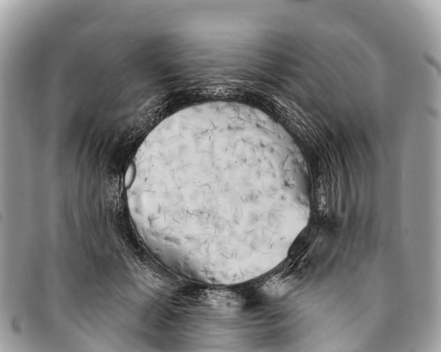 X0000094420605200711291551