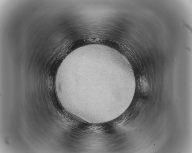 X0000094420606200711291551