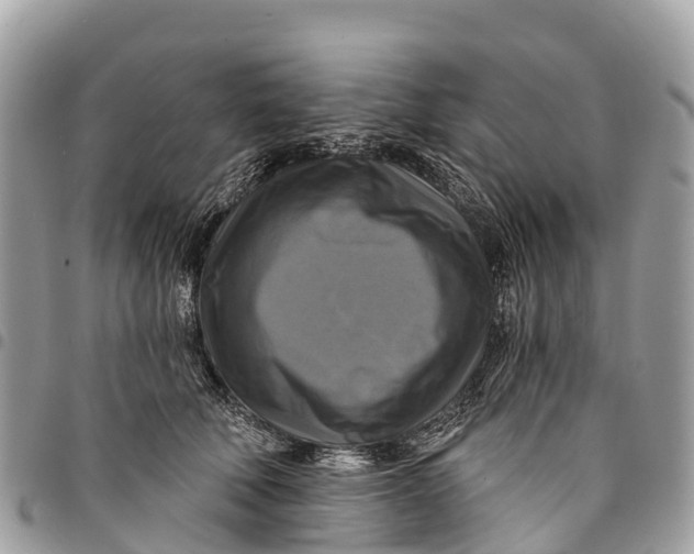 X0000094420610200711291551