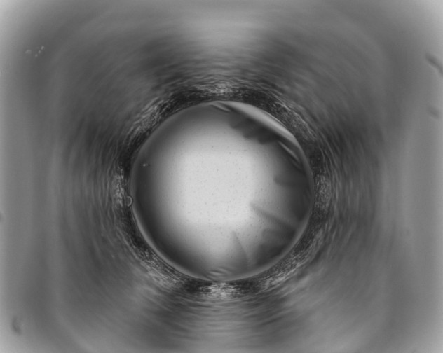 X0000094420612200711291551