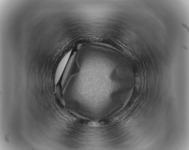 X0000094420613200711291551