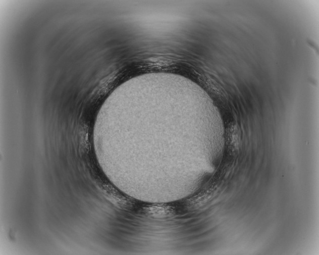 X0000094420615200711291551