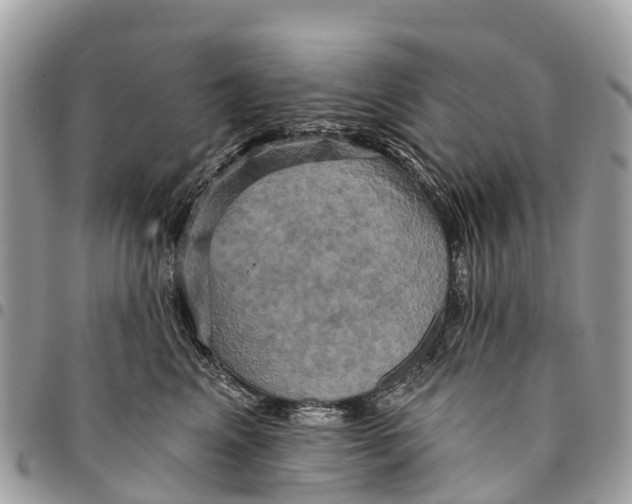 X0000094420617200711291551