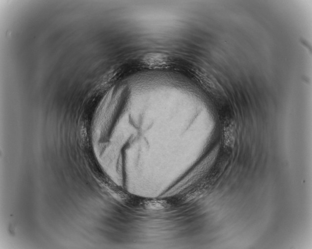 X0000094420618200711291551