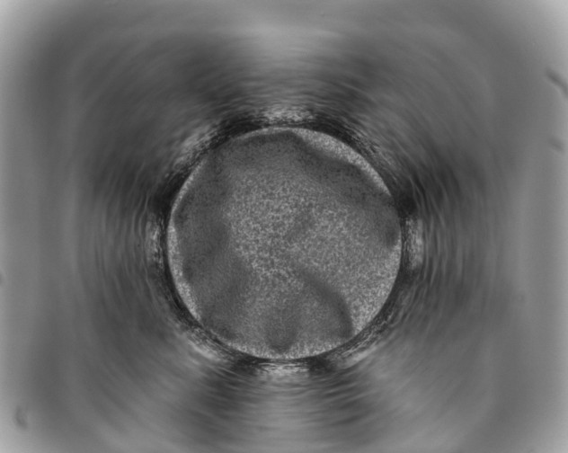 X0000094420619200711291551