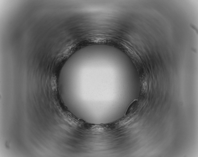 X0000094420620200711291551