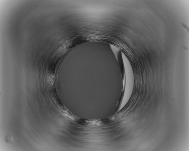 X0000094420621200711291551