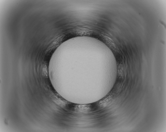 X0000094420622200711291551